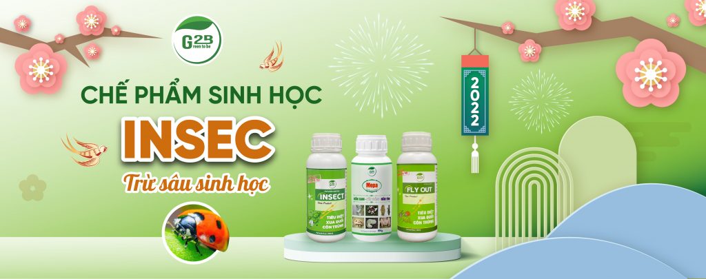 BANNER WEB G2B 01