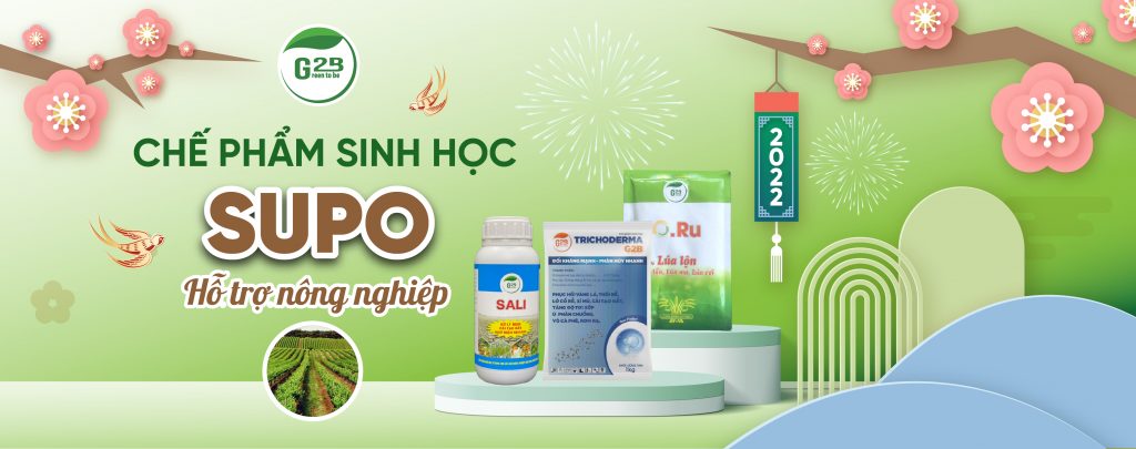 BANNER WEB G2B 02